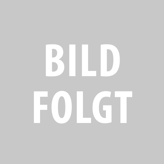 Wandeinführungsrohr 1000 mm Schutzrohr / einfach